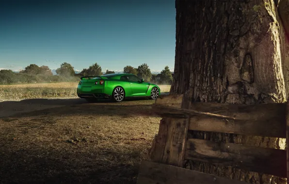 Picture Nissan, GT-R, Car, Nature, Green, Beauty, Sport, Rear