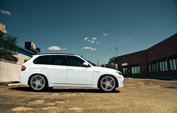 Picture white, bmw, BMW, white, wheels, drives, crossover, tinted, e70, x5m