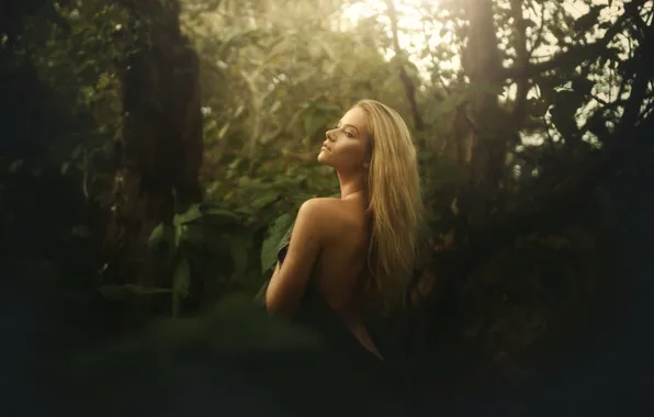 Picture forest, girl, back, TJ Drysdale, Dream On