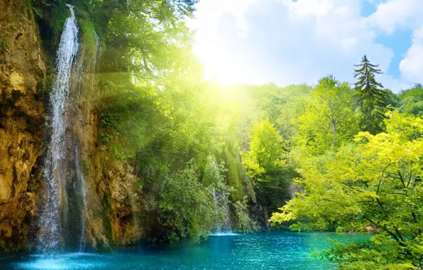 Picture forest, the sky, water, the sun, waterfall, solar
