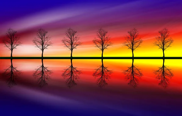 Picture color, trees, reflection, Trees