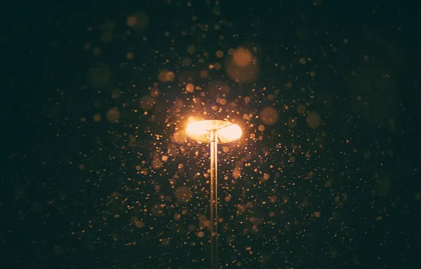 Picture light, winter, snowing, lamp post