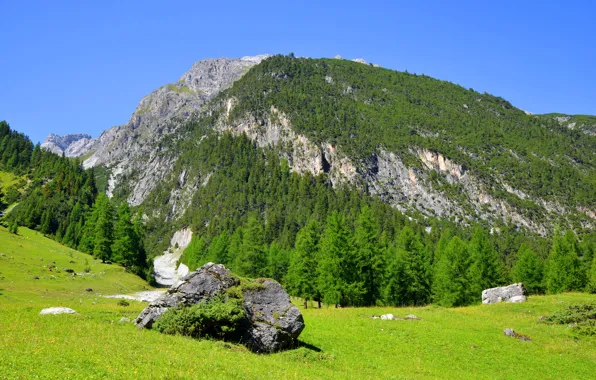 Picture greens, forest, the sky, grass, the sun, trees, mountains, stones, rocks, glade, Switzerland, Alps, Bergun