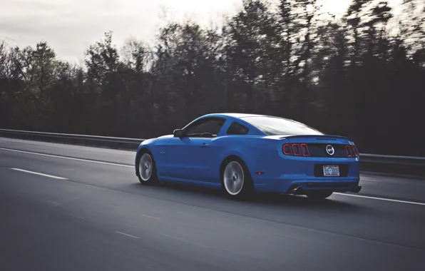 Picture Mustang, Ford, Road, Speed, Ass, Ford, Muscle, Mustang, Car, Blue, Speed, 5.0, Road, Kar, Oil