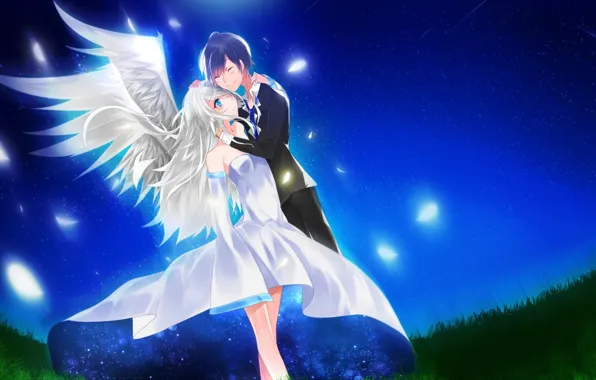 Picture the sky, girl, stars, night, wings, anime, feathers, art, guy, aoiken