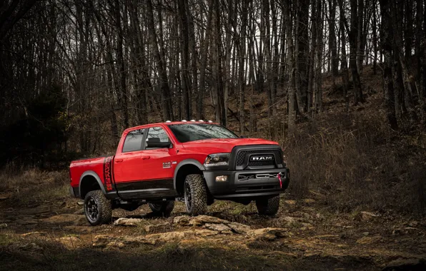 Picture forest, red, stones, SUV, Dodge, pickup, Ram, 2500