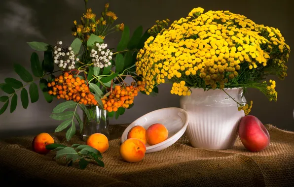 Picture flowers, branches, berries, plate, vase, fruit, still life, peach, Rowan, apricots, tansy