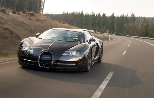 Picture Bugatti, veyron, supercar, mansory, 2009, lincea vincero