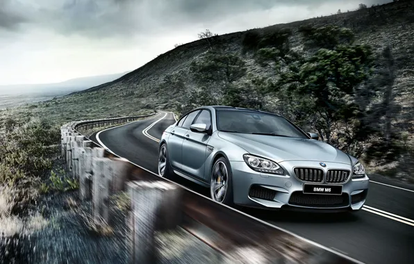 Picture BMW, coupe, BMW, Gran Coupe, F06, 2015