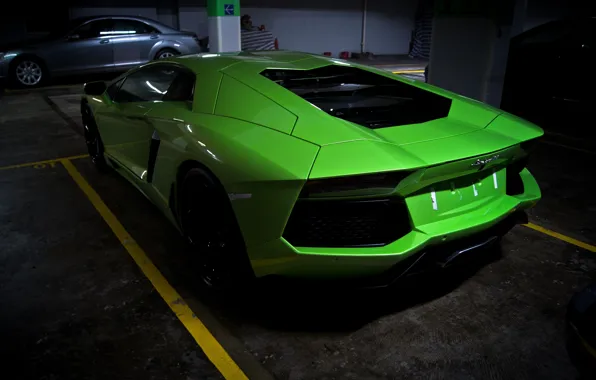 Picture green, green, Parking, lamborghini, back, aventador, lp700-4, Lamborghini, aventador