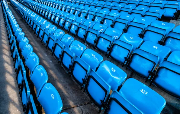 Picture sport, blue, stadium, numbers, rows, seats