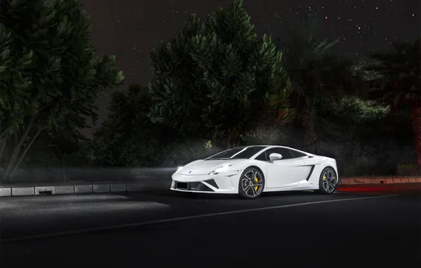 Picture night, Lamborghini, white, Gallardo, Lamborghini, night, front, LP560, Gallardo