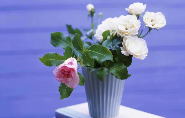 Picture flowers, roses, bouquet, vase