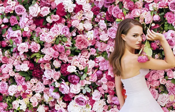 Picture girl, flowers, white, roses, dress, actress, Natalie Portman, Natalie Portman, brown hair, pink, the bushes