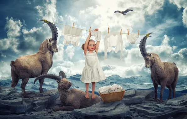 Picture mountains, girl, eagle, in the sky, Horny, Laundry day, soars, mountain goats