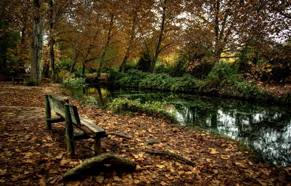 Picture autumn, Park, river, bench