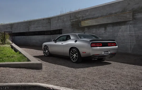 Picture Dodge, Challenger, Muscle Car, R/T 2015