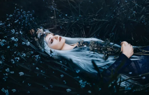 Picture grass, girl, flowers, makeup, Bella Kotak, A river flows in you