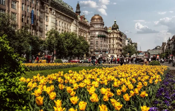 Picture street, building, spring, The city, Prague, Czech Republic, tulips, architecture, street, tulips, spring, Prague, architecture, …
