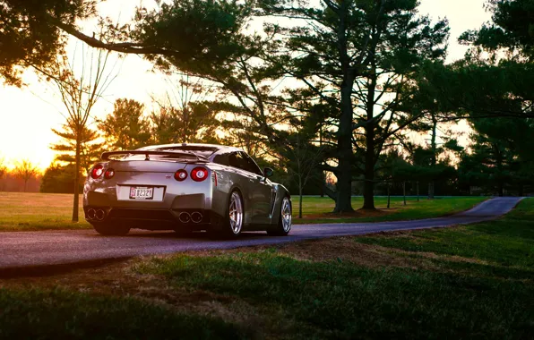 Picture Nissan, GT-R, Grass, Sun, Back, R35, Summer, Road, Rear
