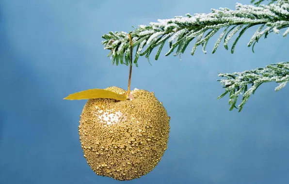 Picture holiday, new year, Apple, Christmas, spruce, branch, christmas, new year, gold