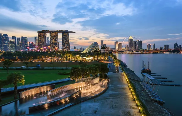 Picture night, lights, building, Singapore, architecture, megapolis