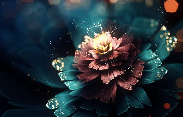 Picture flower, light, abstraction, petals