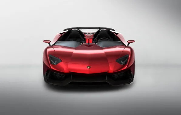 Picture Lamborghini, Lambo, Aventador, The front