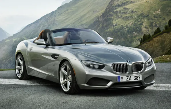 Picture the sky, mountains, Roadster, silver, BMW, BMW, the front, Zagato, Zagato, Roadster