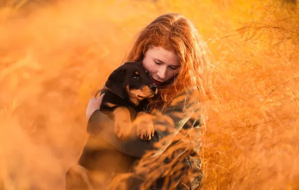 Picture nature, dog, girl