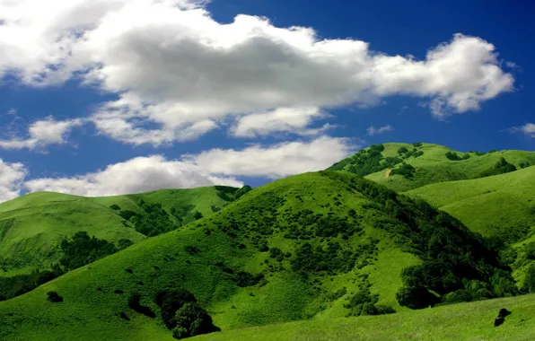 Picture the sky, clouds, green, hills