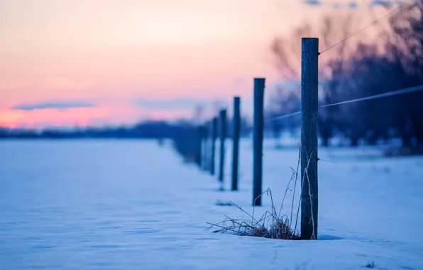 Picture snow, nature, background, blue, widescreen, Wallpaper, the fence, fence, the fence, wallpaper, widescreen, background, full …