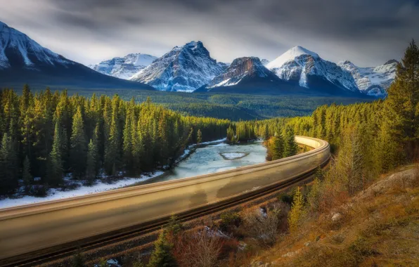 Picture forest, train, excerpt, Canada, Albert