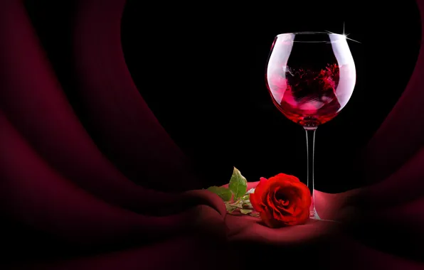Picture flower, wine, glass, rose, red