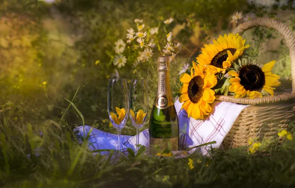 Picture summer, sunflowers, basket, bottle, glasses, champagne