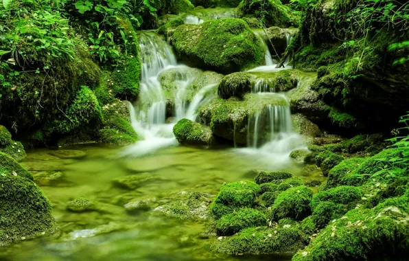 Picture greens, stream, stones, moss, Italy, Italy, Friuli-Venezia Giulia, Friuli — Venezia Giulia
