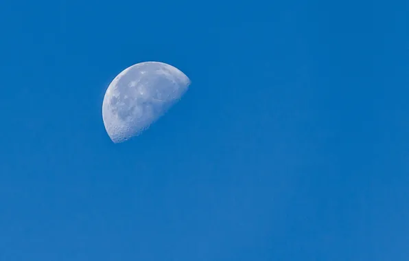 Picture moon, sky, blue