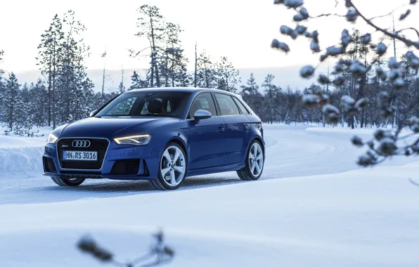 Picture photo, Audi, Winter, Blue, Snow, Car, Sportback, RS3, 2015, Metallic