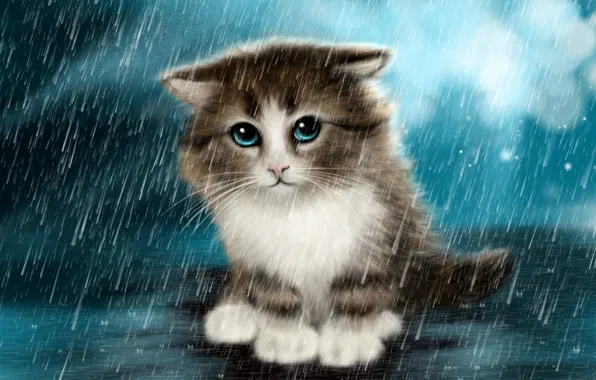 Picture sadness, kitty, rain