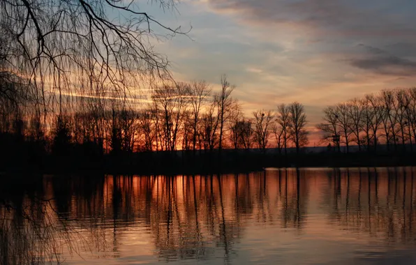 Picture sunset, lake, wood, Ivano-Frankivsk