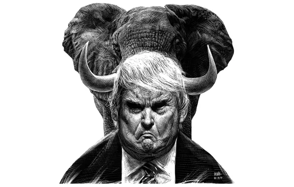 Picture elephant, Republican Party, Donald Trump, GOP