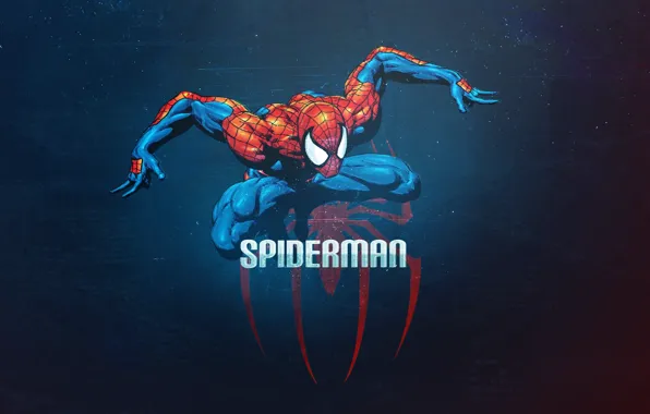 Picture spider-man, spider-man, superhero, spiderman