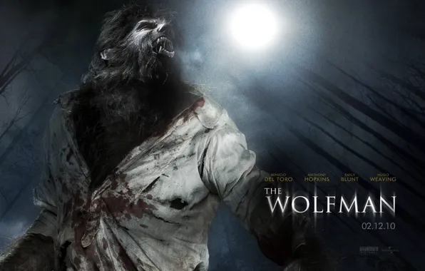 Picture 2010, werewolf, The wolf man