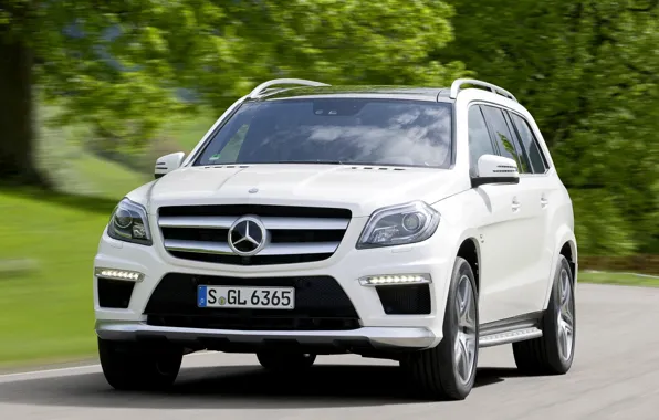 Picture SUV, mercedes, amg 63