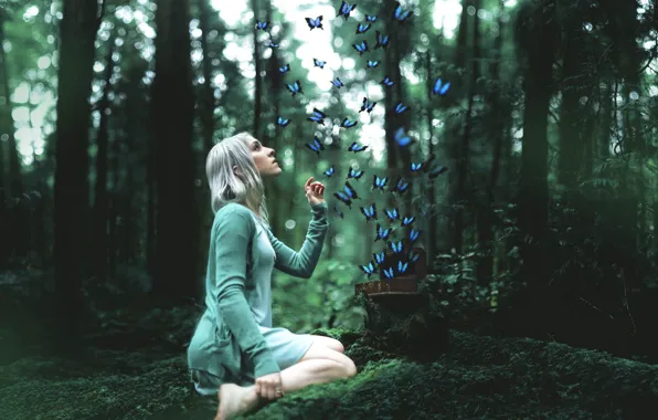 Picture forest, girl, butterfly
