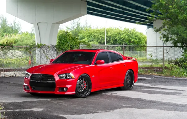Picture Auto, Bridge, The fence, Trees, Tuning, Mesh, Machine, Dodge, SRT8, Charger
