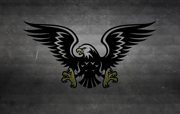 Picture strip, the dark background, bird, black and white, wings, predator, claws, hawk, eagle, hawk