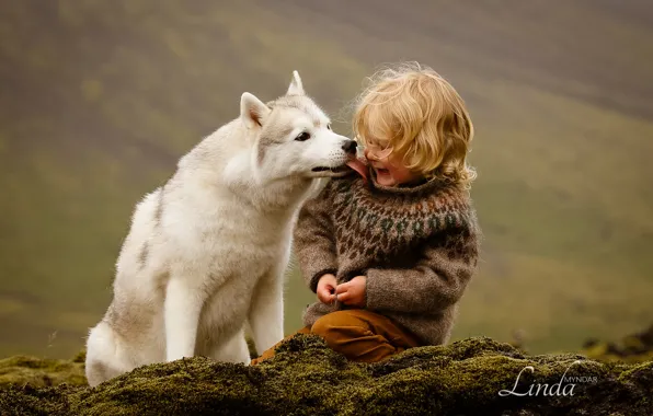 Picture dog, Boy, friendship, friends, Iceland, husky