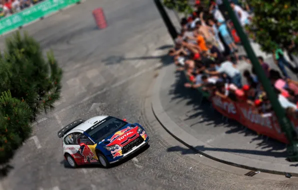 Picture Auto, The city, Sport, Machine, People, Day, Citroen, WRC, Rally, Rally