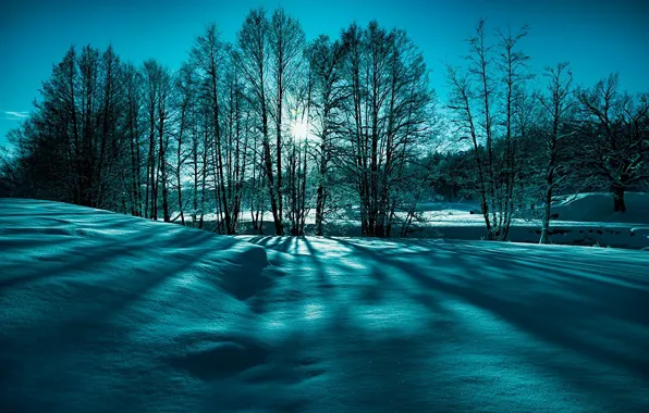 Picture winter, the sun, rays, snow, trees, nature